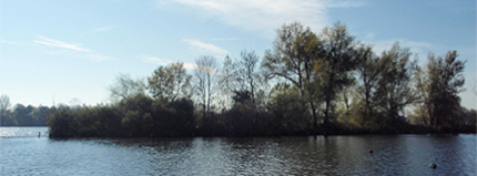 waterlinie